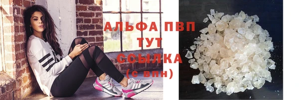 PSILOCYBIN Михайлов
