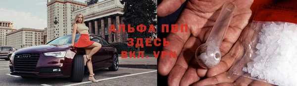 PSILOCYBIN Михайлов