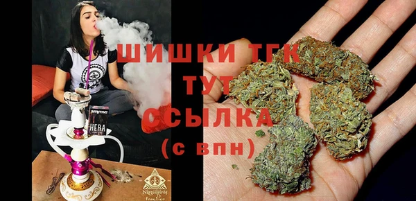 PSILOCYBIN Михайлов