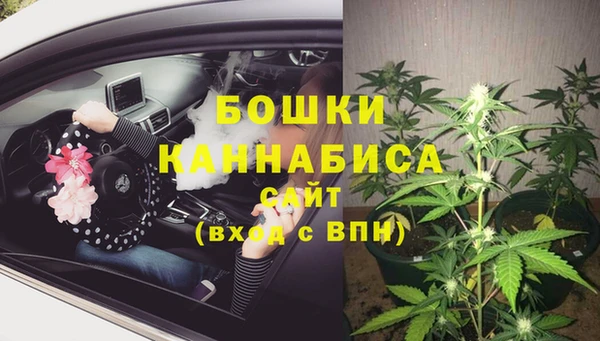 соль ск Михайловск