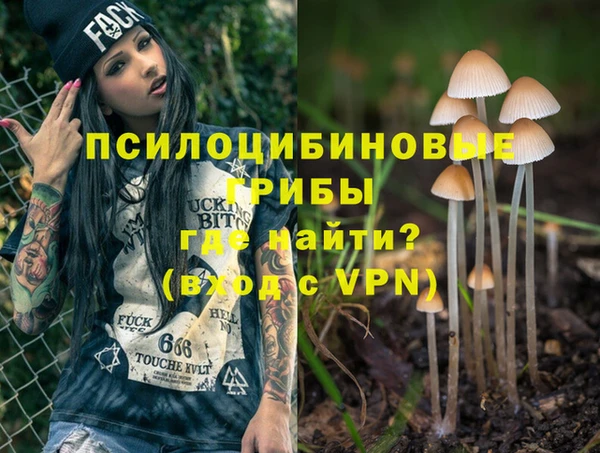 стафф Навашино