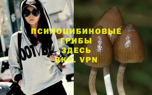 мескалин Михайловка