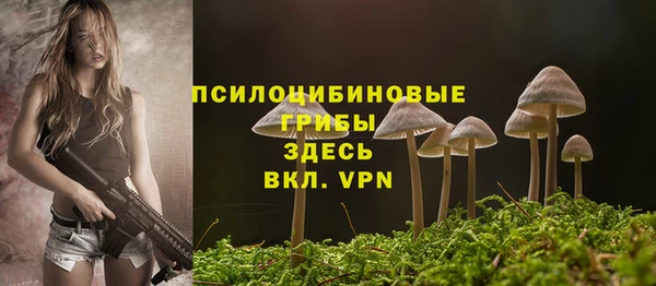 a pvp Надым